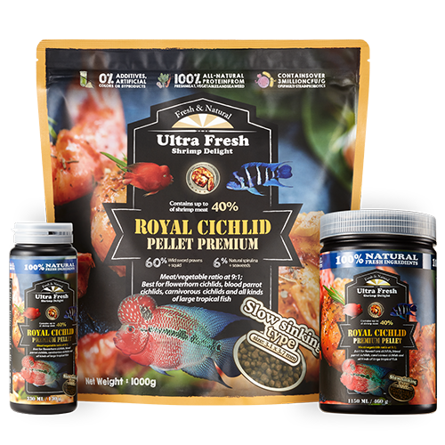 ROYAL CICHLID<br>premium pellet