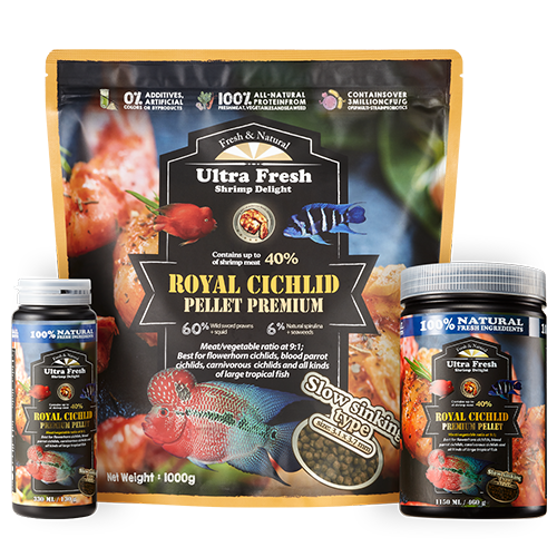 Royal Cichlid <br>Pellet Premium