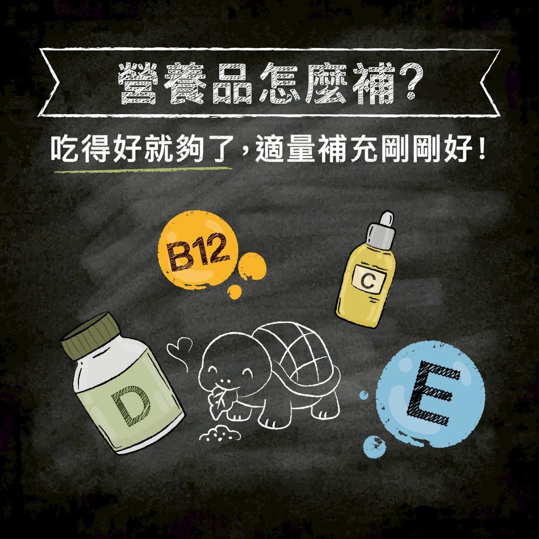 說明圖:營養品怎麼補,畫著維生素 B12、C、D、E 與一隻烏龜