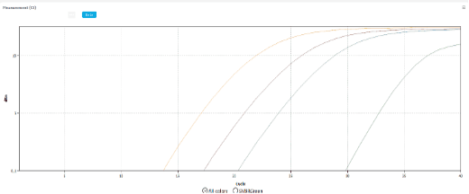 qPCR 的螢光增幅曲線圖