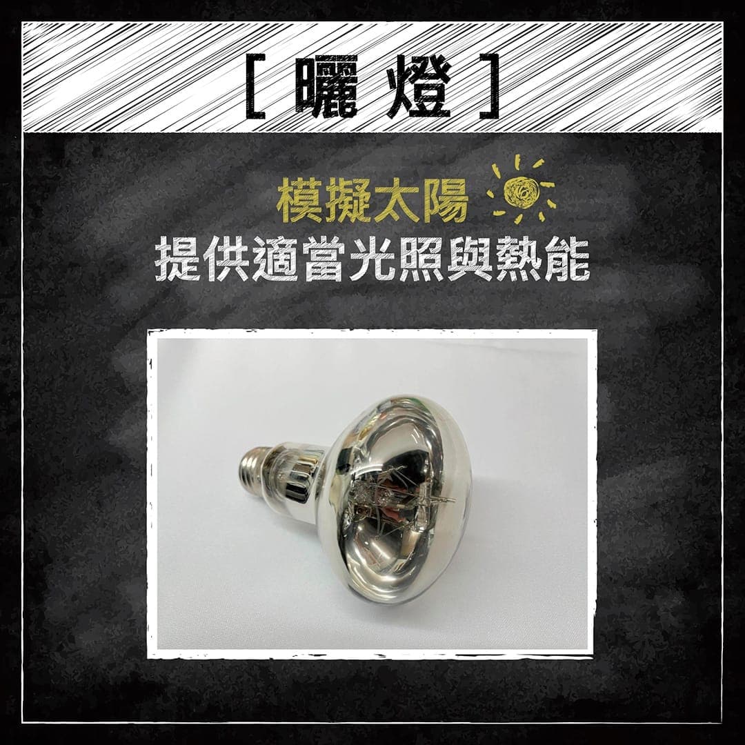 說明圖:曬燈模擬太陽提供光照與熱能,附一顆全光譜燈泡的照片