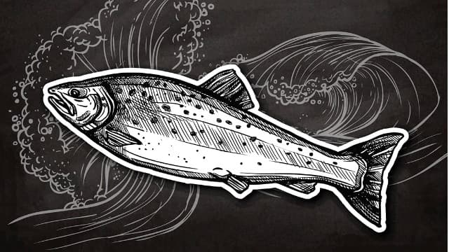 【鮮蝦研究室】劍蝦飼料中的甲殼素是否影響觀賞魚的營養吸收?