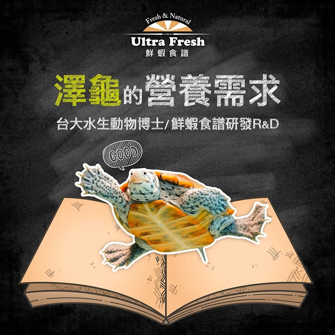 標題圖:澤龜的營養需求