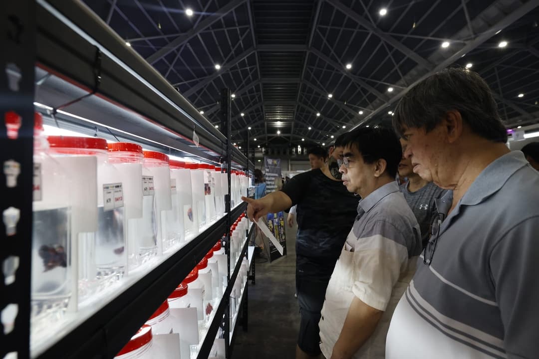 參觀者在展場貨架前挑選瓶裝水族用品