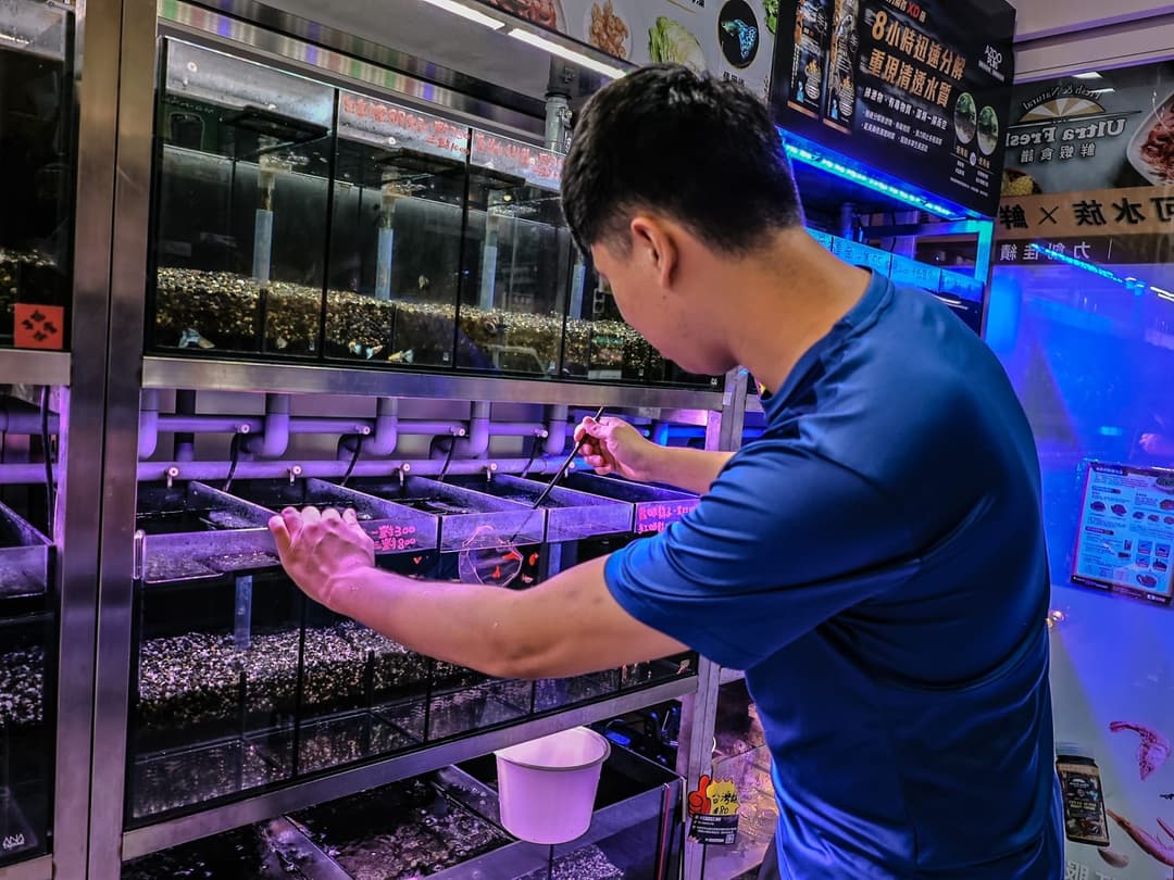 店員在成排魚缸前撈魚