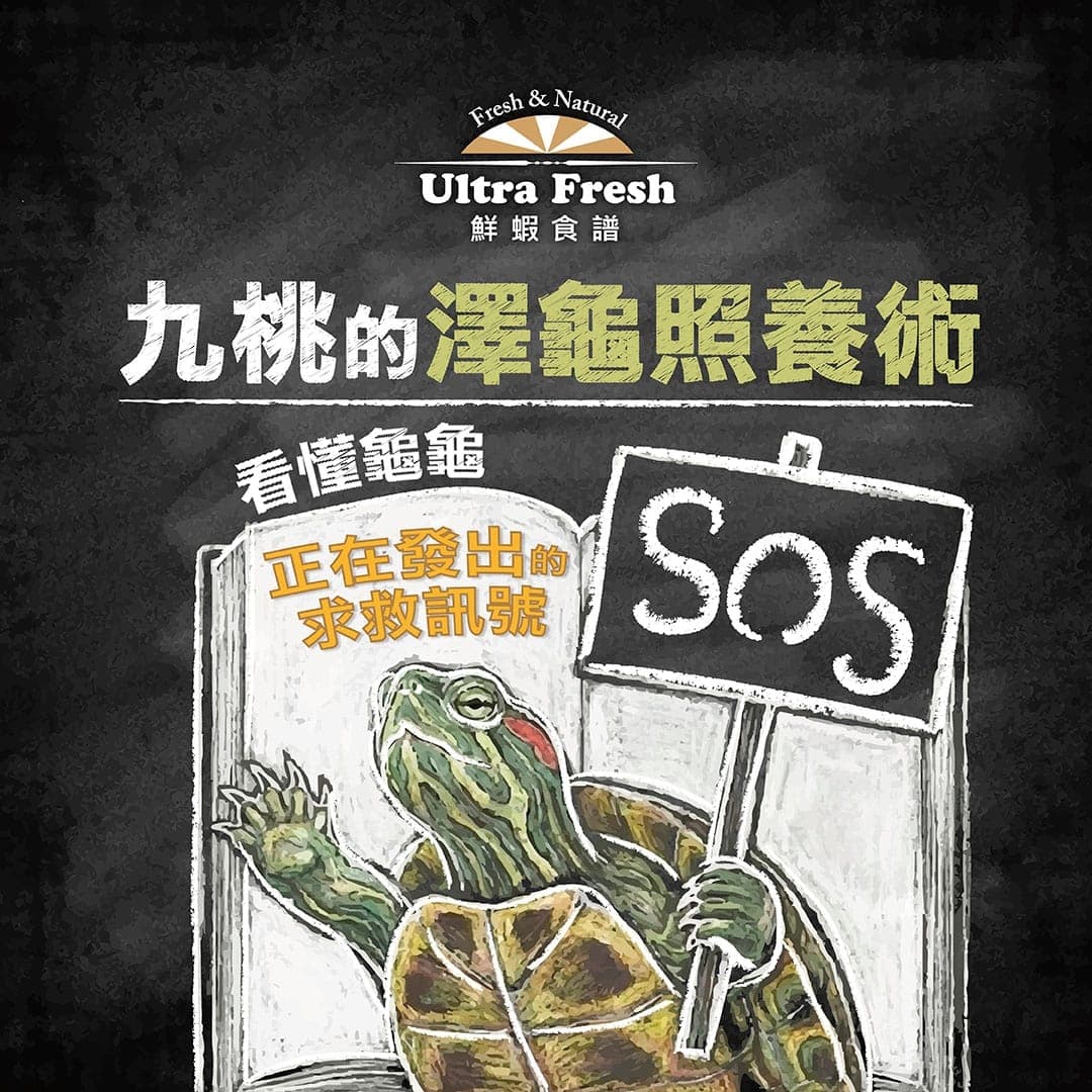 標題圖:九桃的澤龜照養術——看懂龜龜發出的求救訊號,插畫中的烏龜舉著 SOS 牌子