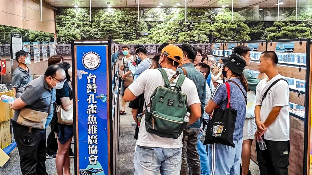台灣孔雀魚推廣協會攤位前的參觀人潮