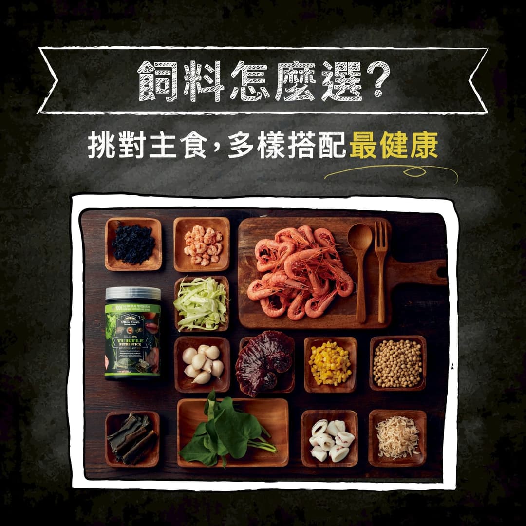 說明圖:飼料怎麼選,木盤上分格擺放的各種原料