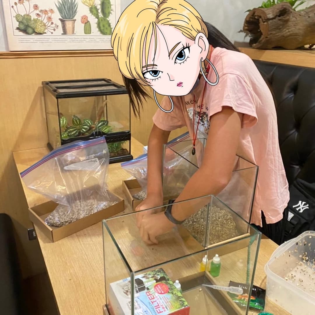 小朋友在桌上動手組裝自己的水族缸