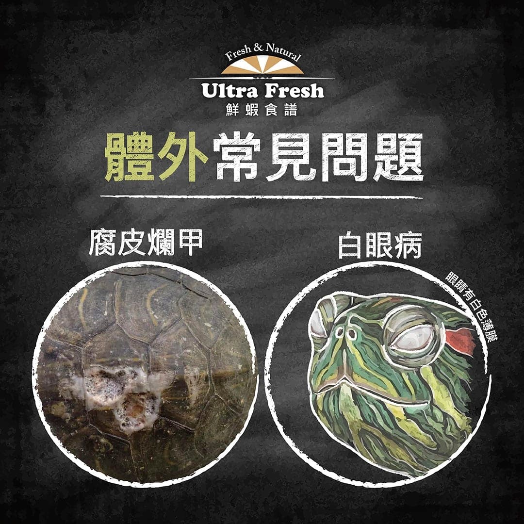 說明圖:體外常見問題,腐皮爛甲與白眼病的照片對照