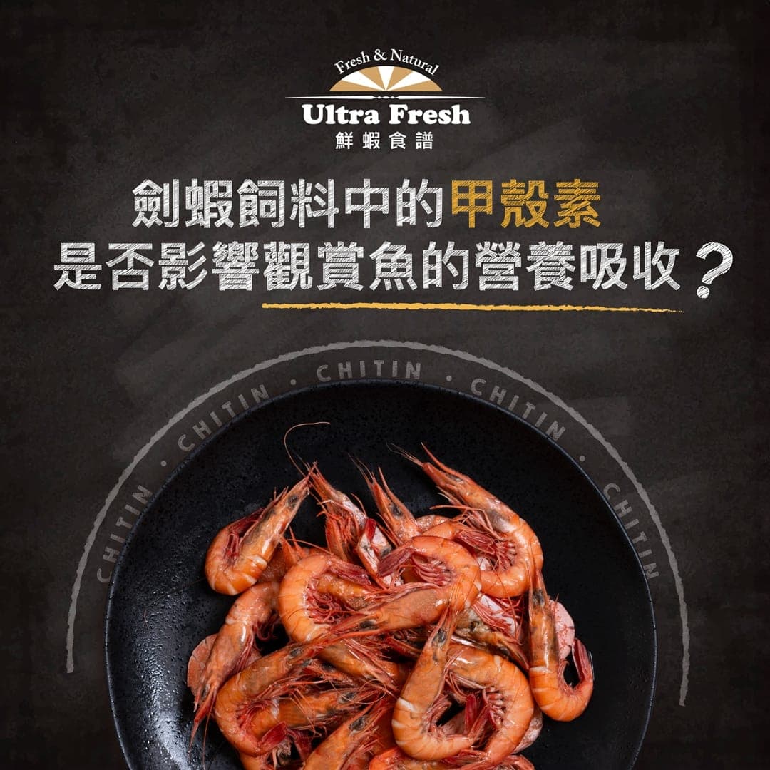 標題圖:劍蝦飼料中的甲殼素是否影響觀賞魚的營養吸收?