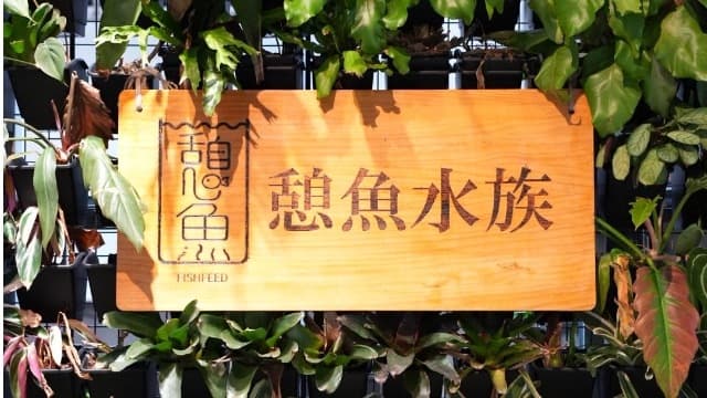 【水族特搜】台北最有人氣水族選物店!FT.憩魚水族