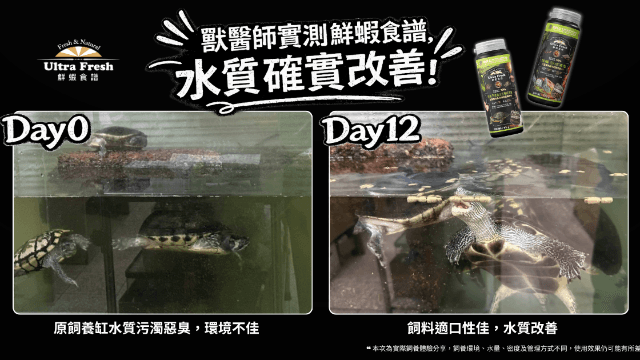 ⟢獸醫實測|鮮蝦食譜飼料 × 普樂思XD菌 × 伊爾過濾 使用體驗分享⟣