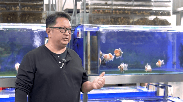 【水族特搜】新北八里深山的修煉場 Ft. 熱愛金魚的熱血爸爸 郝善良