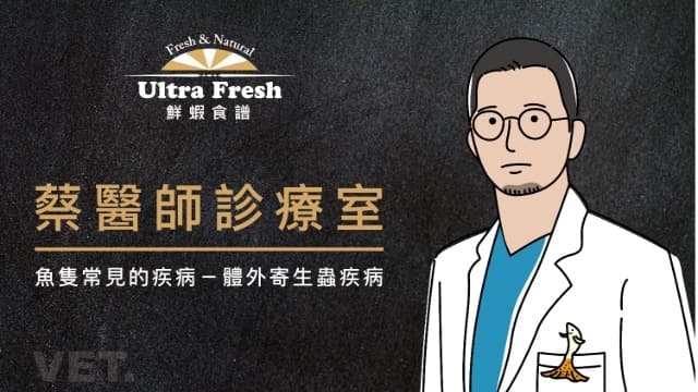 【蔡醫師診療室】魚隻常見的疾病-體外寄生蟲疾病