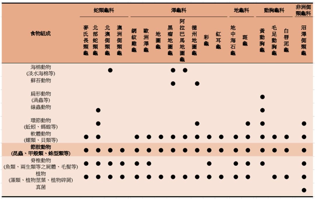 表格:多種澤龜在野外的食物組成對照