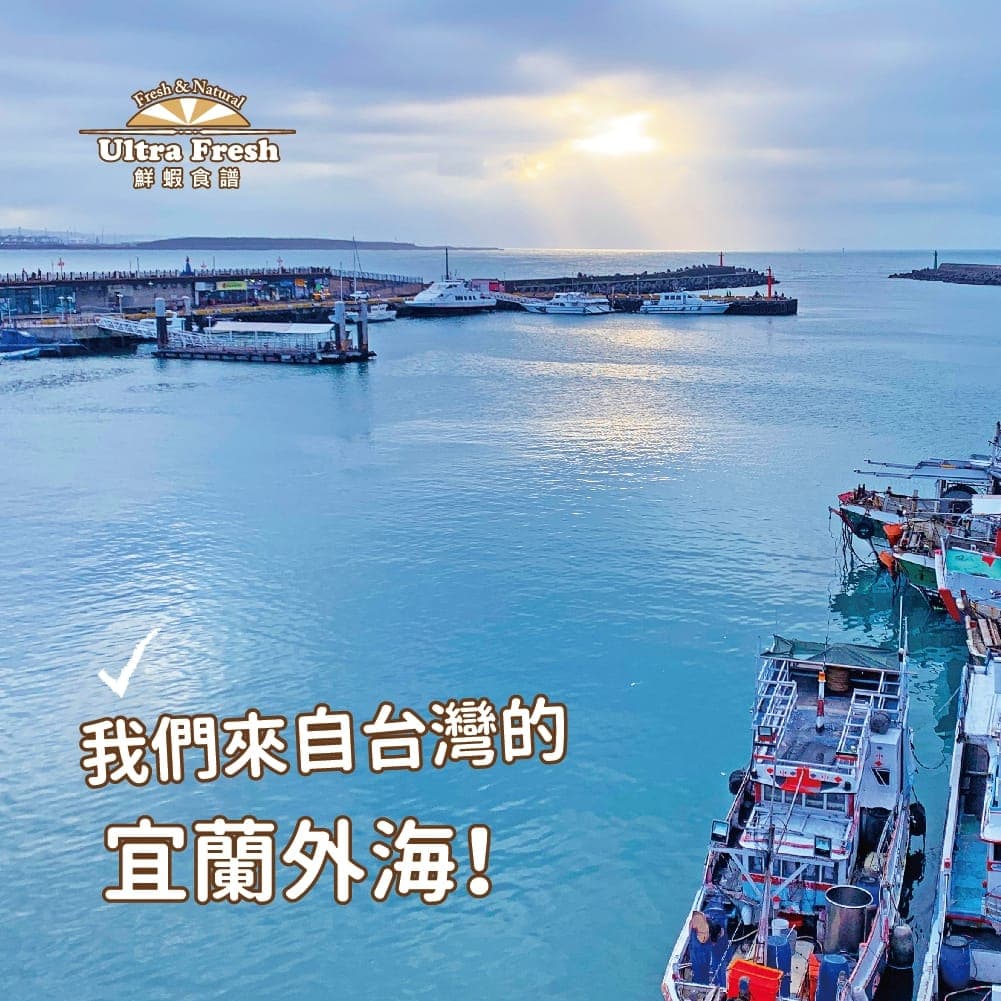 宜蘭外海漁港停泊的漁船