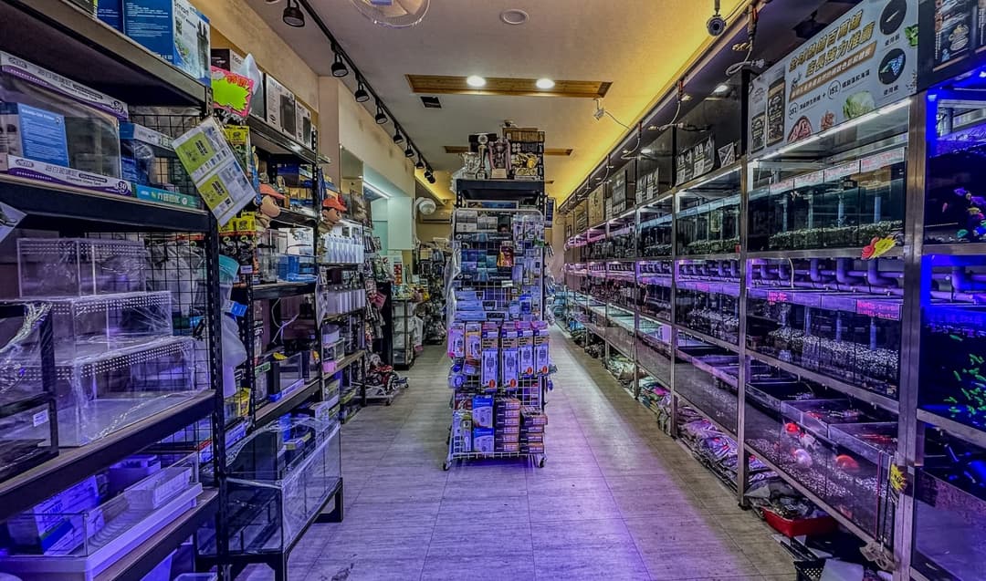 店內兩側成排魚缸與商品架的走道
