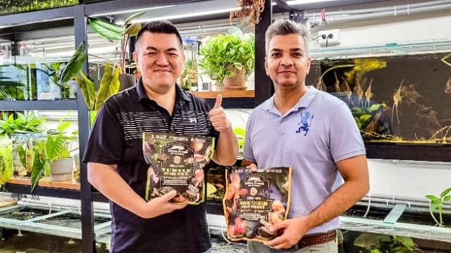 【要不要來我家看魚】巴基斯坦客戶來訪.ᐟ.ᐟ 𝗙𝘁. 𝗪𝗔𝗧𝗧𝗔𝗡 𝗔𝗨𝗧𝗢𝗦🇵🇰