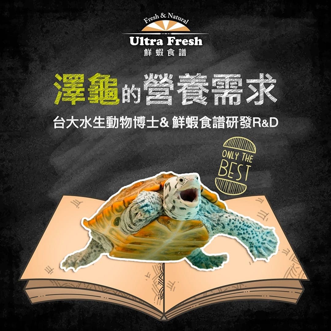 標題圖:澤龜的營養需求(下篇)