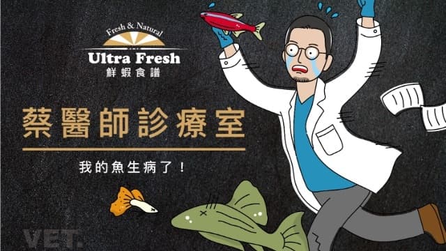 【蔡醫師診療室】醫生,魚生病了怎麼辦!(上)