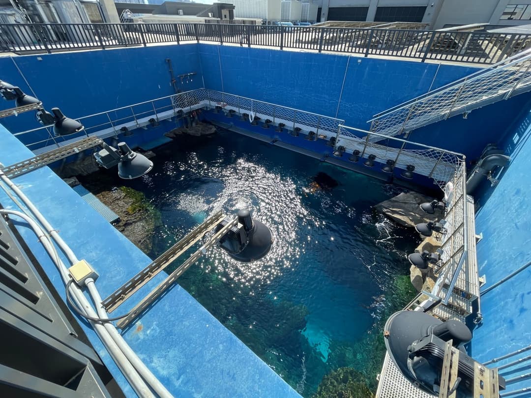 水族館後場的大型藍色蓄水池
