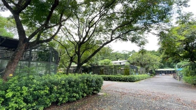 【愛心直送 守護野孩1+1】首度與兩間野保機構合作!