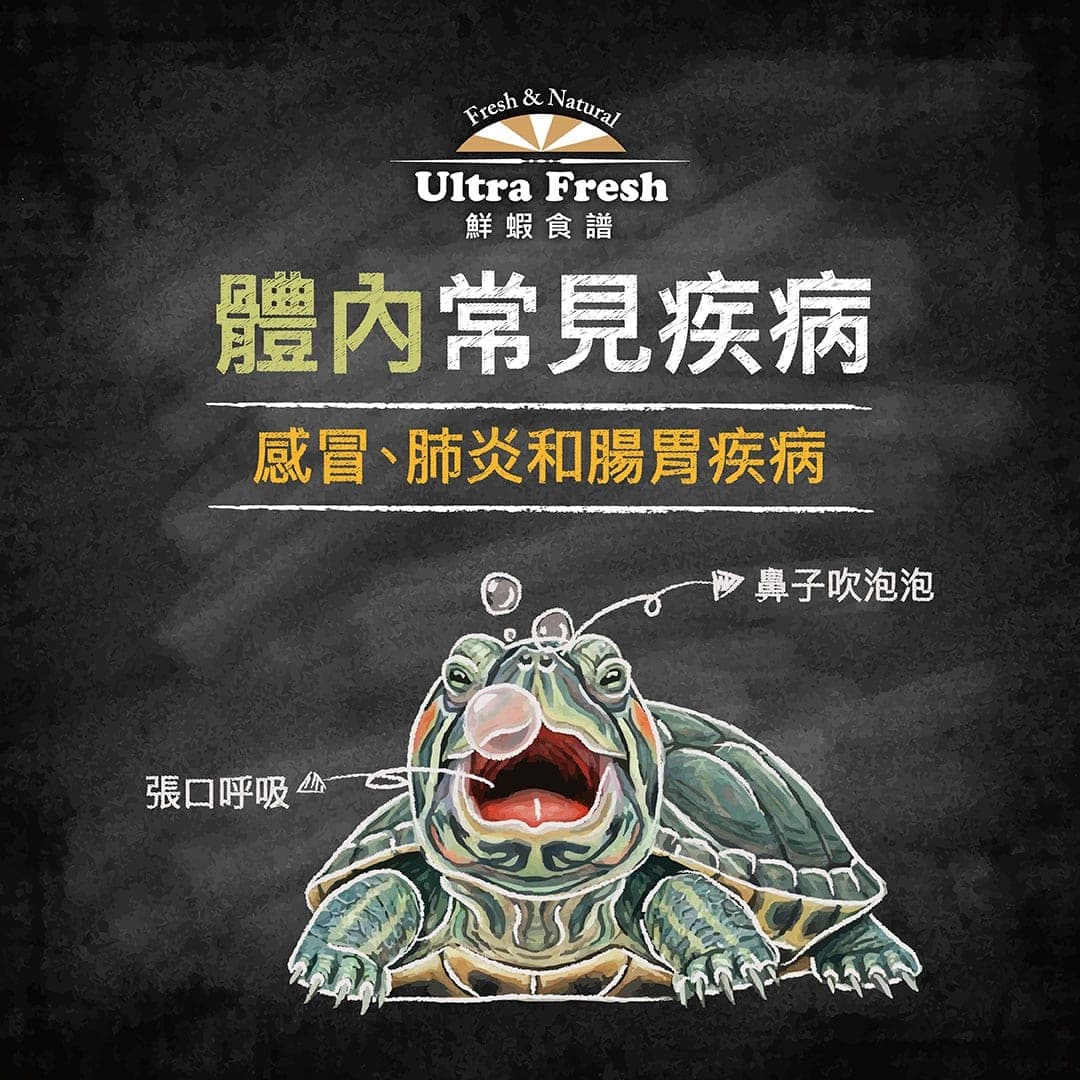 說明圖:體內常見疾病,插畫標出張口呼吸與鼻子吹泡泡的症狀