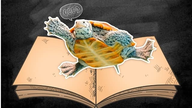 【鮮蝦研究室】澤龜的營養需求與對幾丁質的攝取(上)
