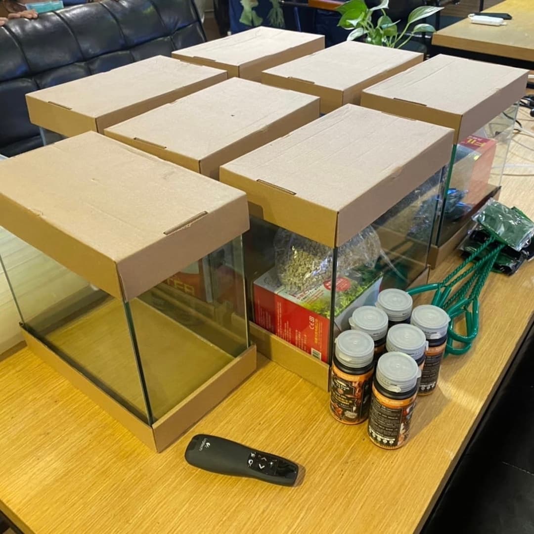 桌上排列整齊的小型水族缸材料包與飼料罐