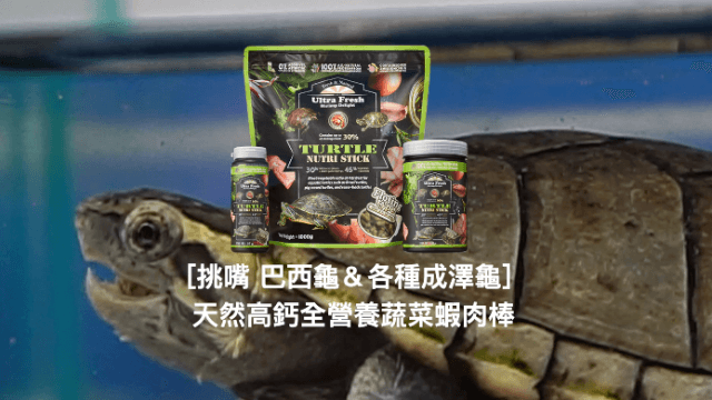 【鮮蝦列車】鮮蝦食譜X烏龜社團 試吃活動