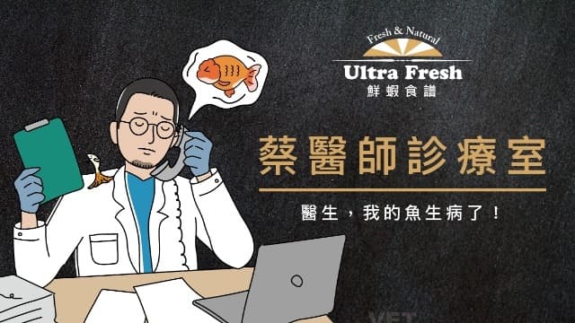 【蔡醫師診療室】醫生,魚生病了怎麼辦!(下)