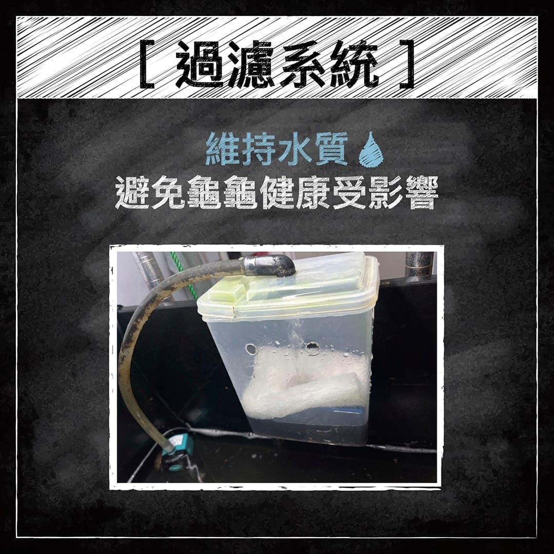說明圖:過濾系統維持水質,附一個自製過濾盒的照片