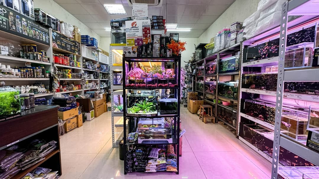 水族店內兩側擺滿商品與魚缸的走道