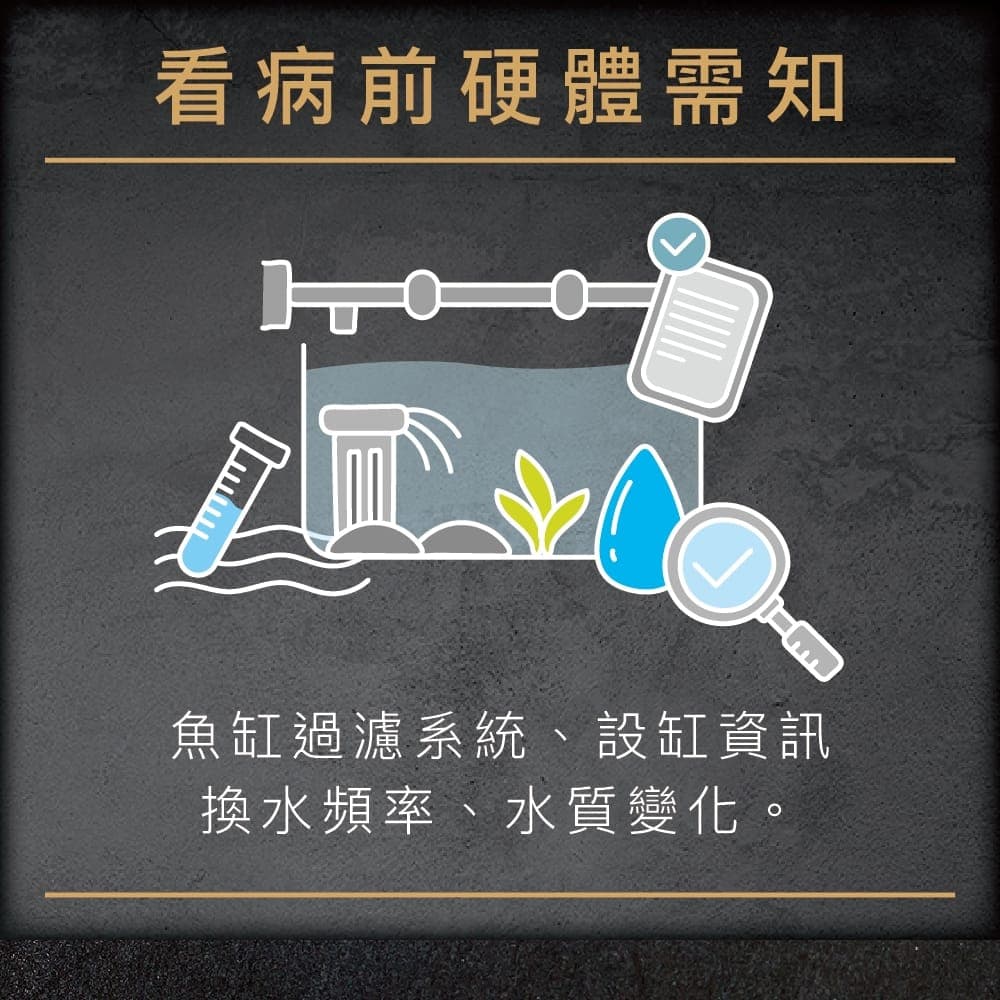 說明圖:看病前要準備的硬體資訊——過濾系統、設缸資訊、換水頻率、水質變化
