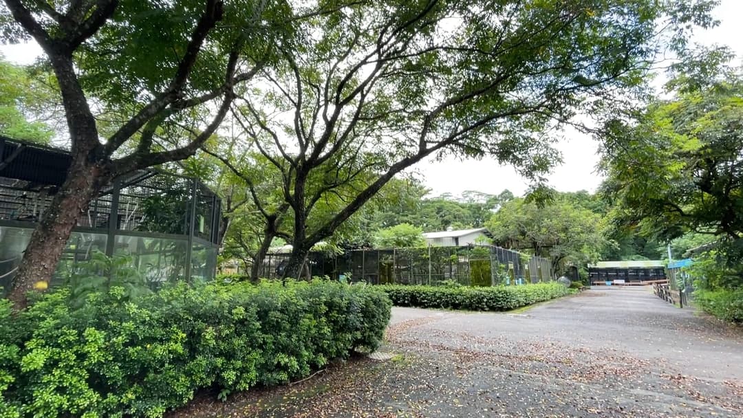 收容中心綠樹環繞的園區步道