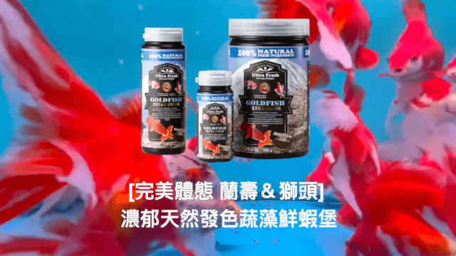 【鮮蝦列車】金魚&水族快訊社團_試吃成果