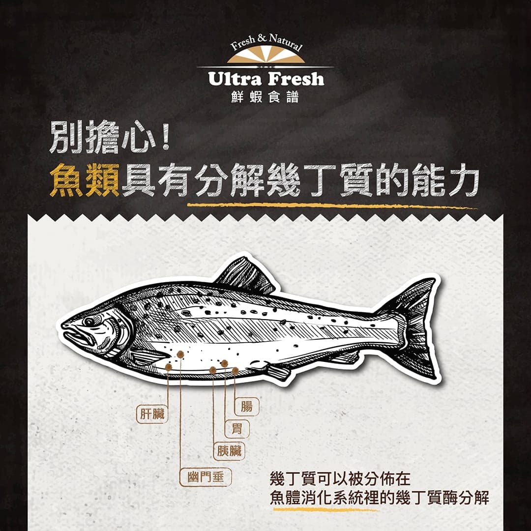說明圖:魚類消化系統中分布著可分解幾丁質的酵素