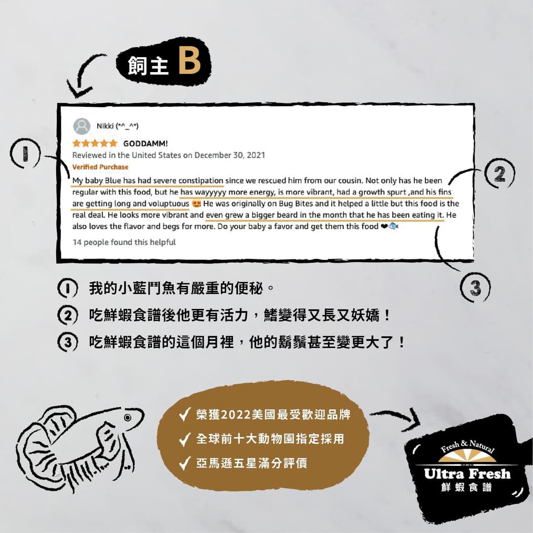 飼主 B 的亞馬遜五星評價截圖,附中文重點整理