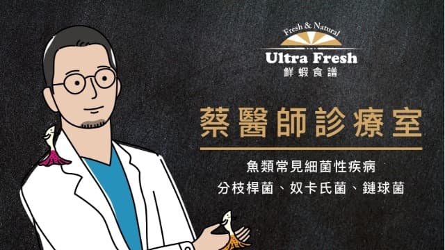 【蔡醫師診療室】魚類常見細菌性疾病-分枝桿菌、奴卡氏菌、鏈球菌