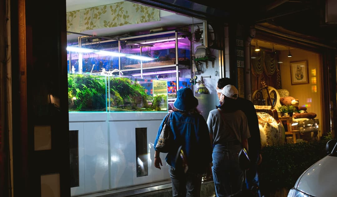 夜裡兩位客人走進亮著水草缸櫥窗的水族店