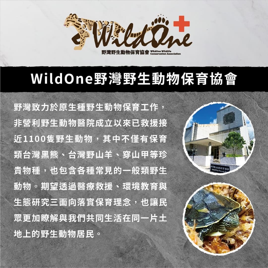 WildOne 野灣野生動物保育協會的介紹卡