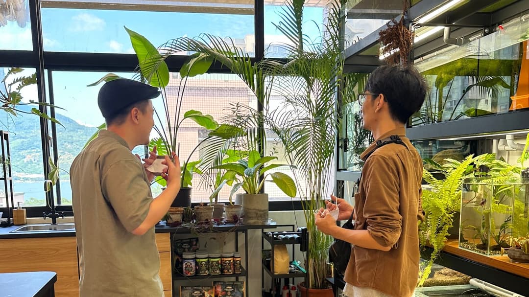 兩人在辦公室的植栽區交談