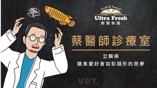 【蔡醫師診療室】立鱗病-龍魚愛好者如影隨形的惡夢
