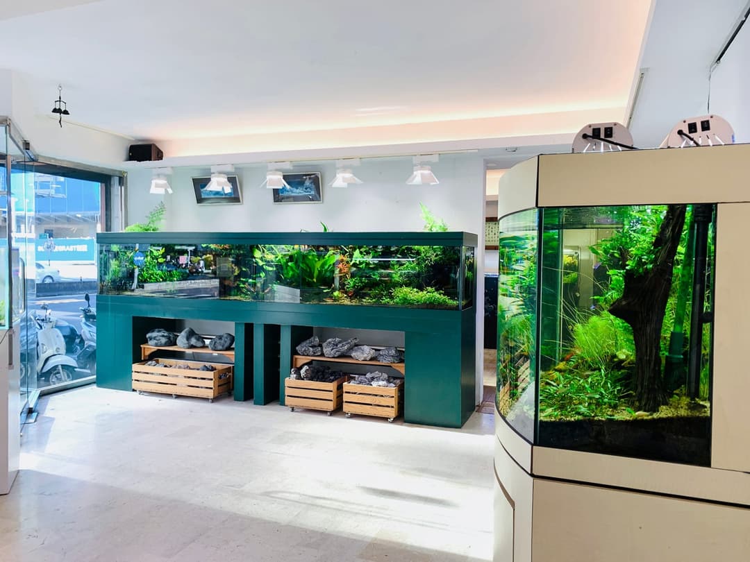 水族造景店內明亮的水草缸展示區