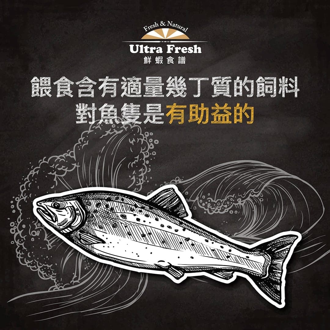 標題圖:餵食含有適量幾丁質的飼料對魚隻是有助益的