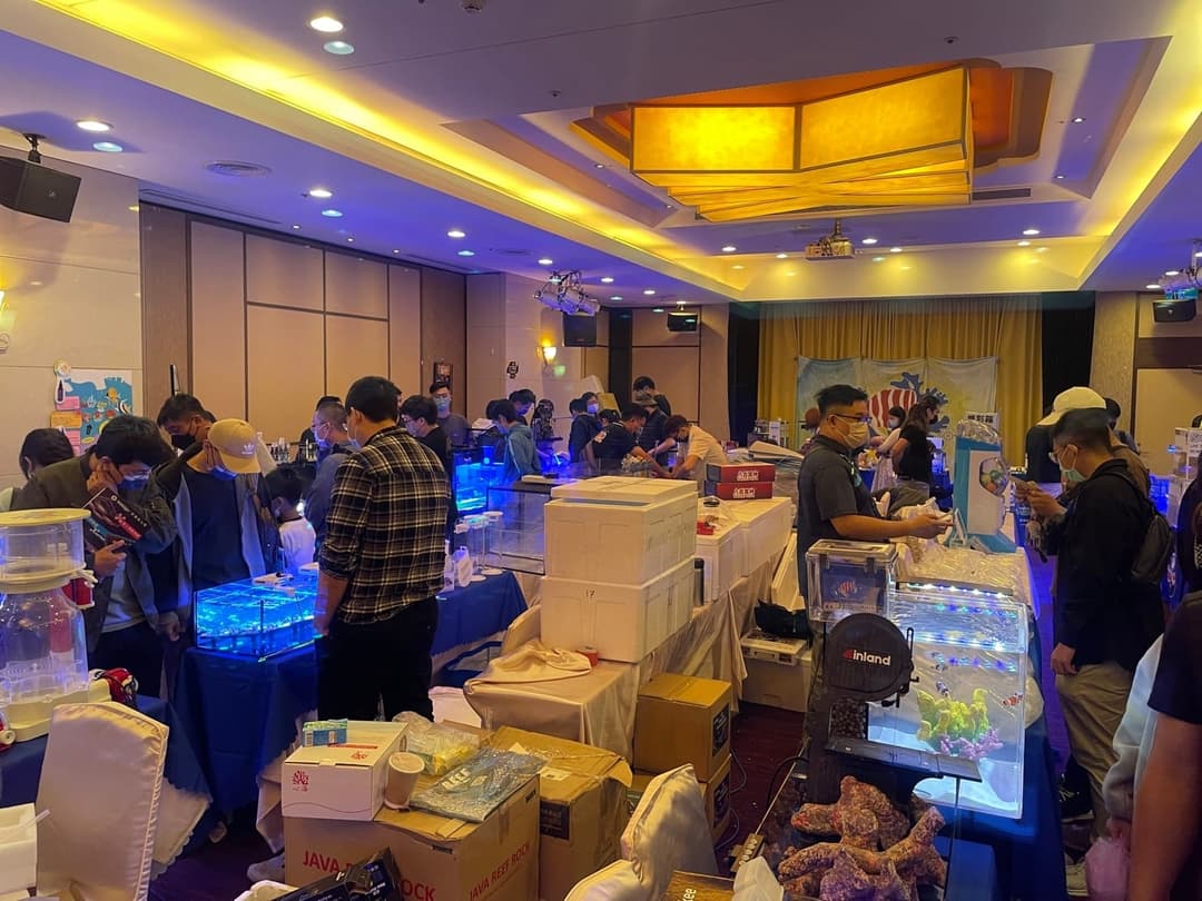 2023 海水珊瑚市集會場,滿是攤位與參觀人潮