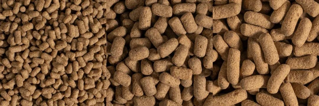 三款澤龜飼料棒以同一比例並排:左起幼澤龜、亞成澤龜、成澤龜,顆粒依序變粗變長。
