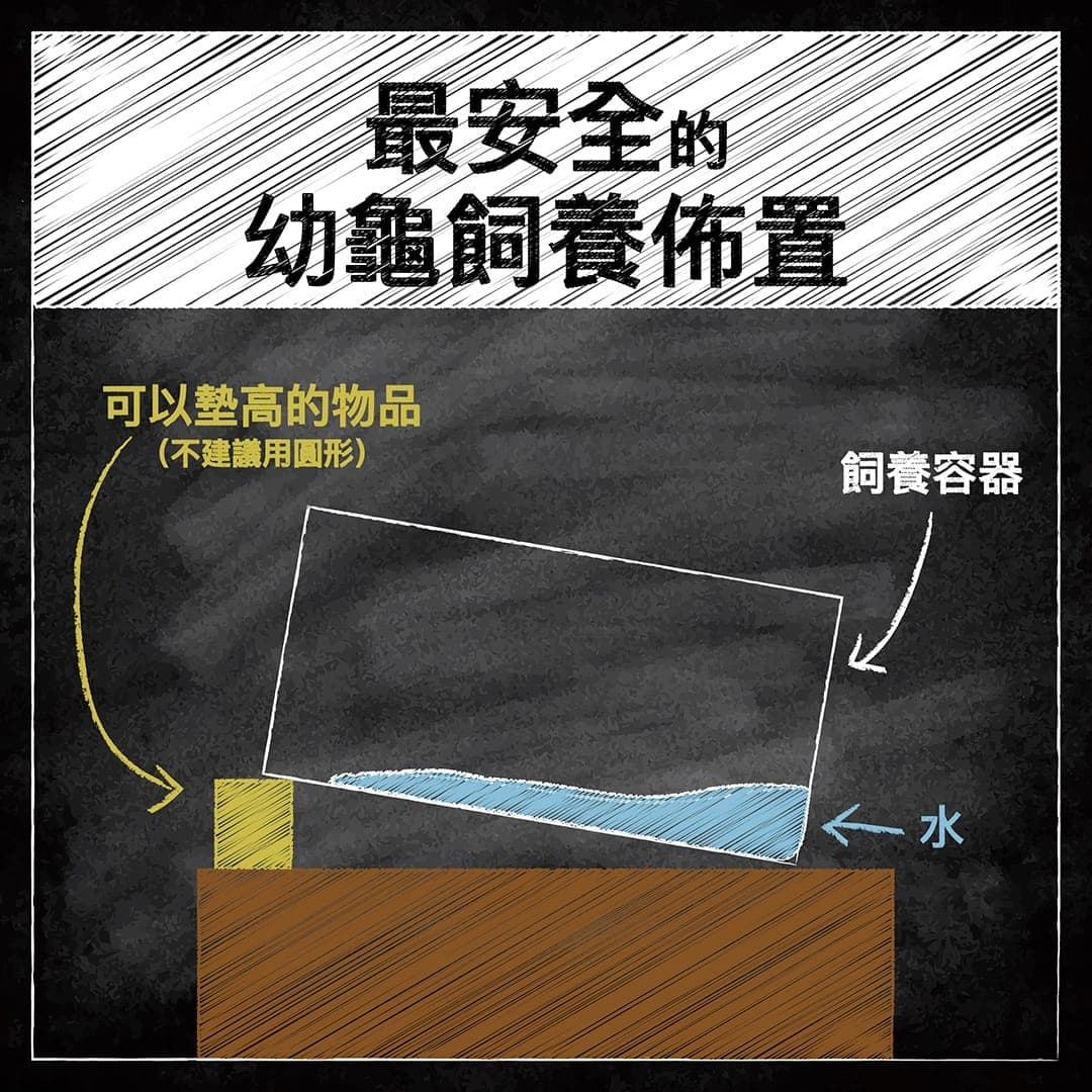 示意圖:最安全的幼龜飼養佈置,把容器一側墊高做出淺水區