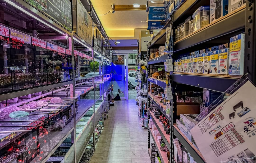 店內走道與兩側的展示缸和商品架